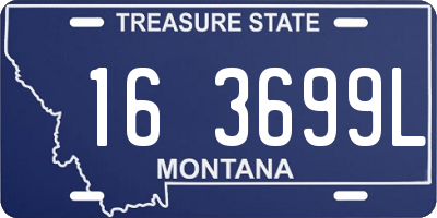MT license plate 163699L