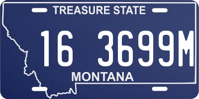 MT license plate 163699M