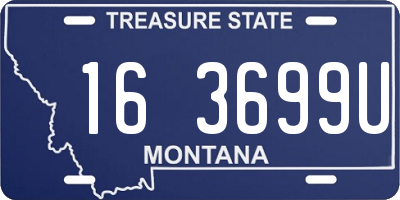 MT license plate 163699U