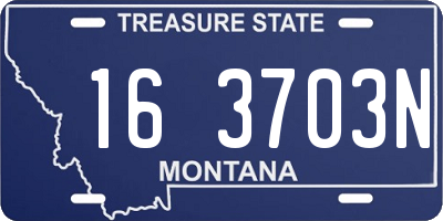 MT license plate 163703N