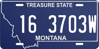 MT license plate 163703W