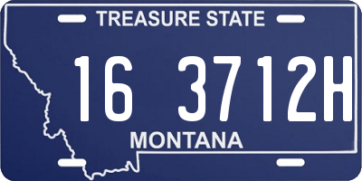 MT license plate 163712H