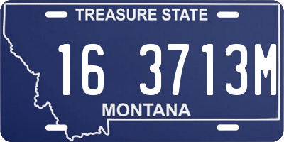 MT license plate 163713M
