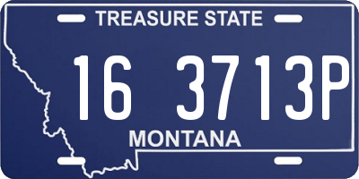 MT license plate 163713P