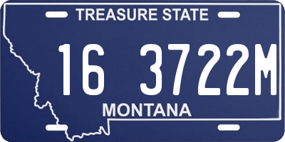 MT license plate 163722M