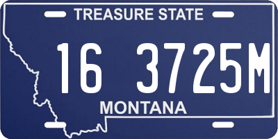 MT license plate 163725M