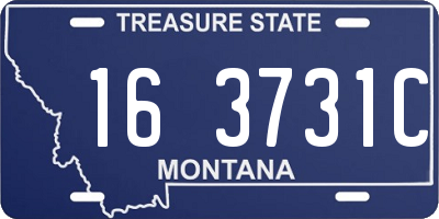 MT license plate 163731C
