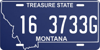 MT license plate 163733G