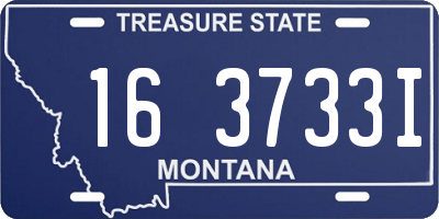 MT license plate 163733I