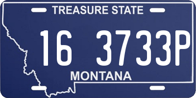 MT license plate 163733P