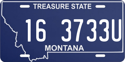 MT license plate 163733U