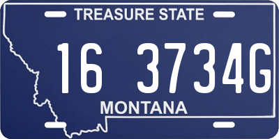 MT license plate 163734G