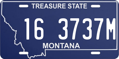 MT license plate 163737M