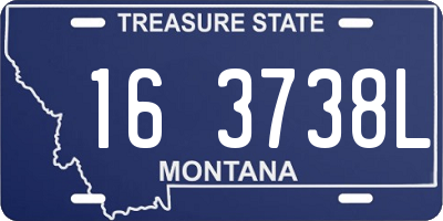 MT license plate 163738L