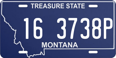 MT license plate 163738P