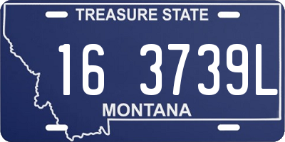 MT license plate 163739L