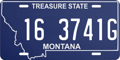 MT license plate 163741G