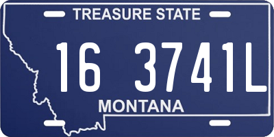 MT license plate 163741L