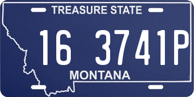 MT license plate 163741P