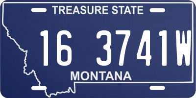 MT license plate 163741W
