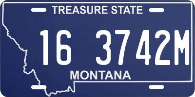 MT license plate 163742M