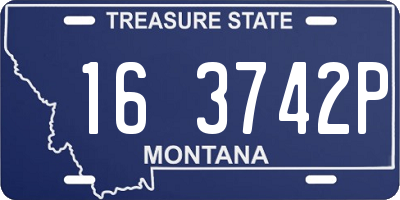 MT license plate 163742P