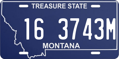 MT license plate 163743M