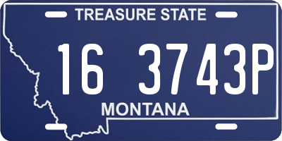 MT license plate 163743P