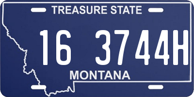 MT license plate 163744H