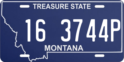 MT license plate 163744P