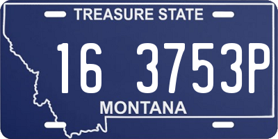 MT license plate 163753P