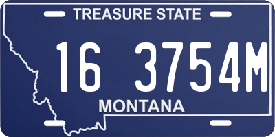 MT license plate 163754M
