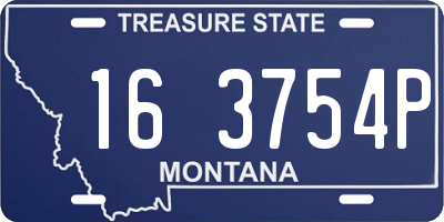 MT license plate 163754P