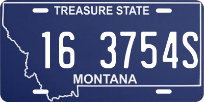 MT license plate 163754S