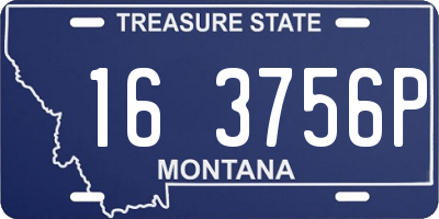 MT license plate 163756P