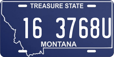 MT license plate 163768U