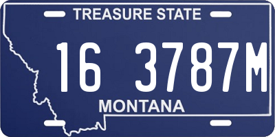 MT license plate 163787M
