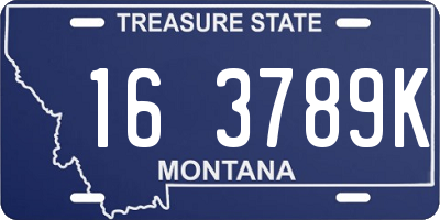 MT license plate 163789K
