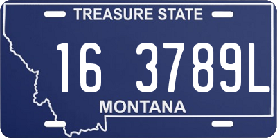 MT license plate 163789L
