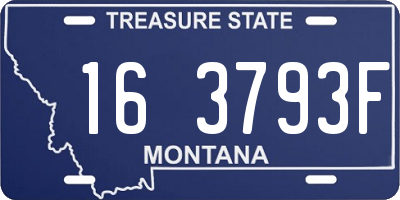MT license plate 163793F