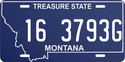 MT license plate 163793G