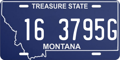 MT license plate 163795G
