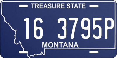 MT license plate 163795P