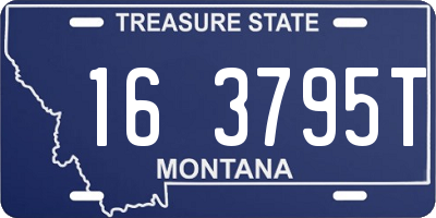 MT license plate 163795T
