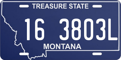 MT license plate 163803L