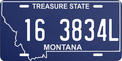 MT license plate 163834L