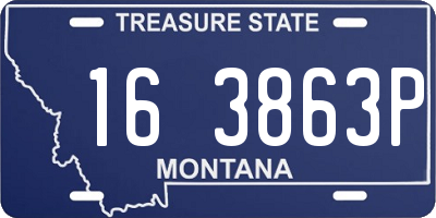 MT license plate 163863P
