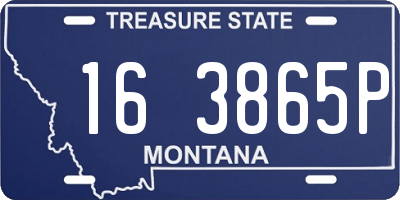 MT license plate 163865P