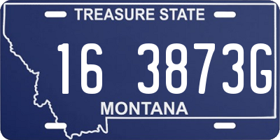 MT license plate 163873G