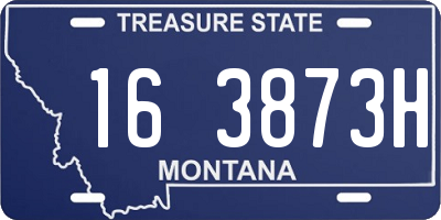 MT license plate 163873H